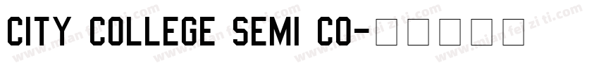 City College Semi Co字体转换